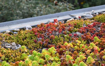 the cost of Prees Heath green roof installation