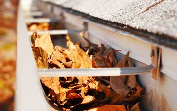 Prees Heath gutter cleaning companies
